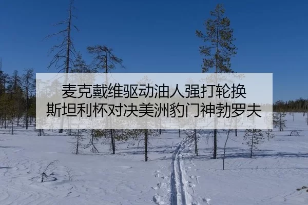 麦克戴维驱动油人强打轮换 斯坦利杯对决美洲豹门神勃罗夫